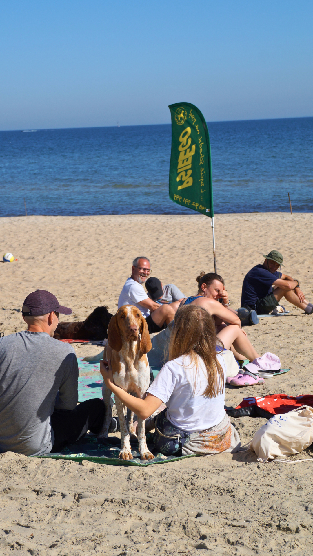 Camp psieEgo w Sopocie, poprzednia edycja